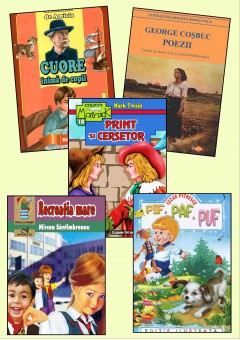 Pachet bibliografie clas..