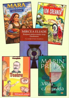 Pachet bibliografie cls a IX-a