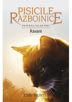 Pisicile Razboinice Rasa..