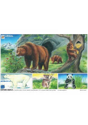 Plansa Ursul - Lumea marina 50 x 70 cm