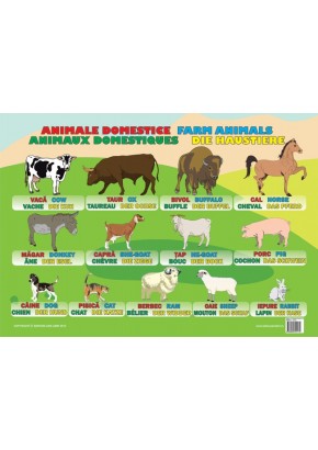 Animale Domestice (plansa 50 x 70)
