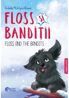 Floss si banditii