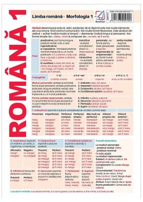 Pliant limba romana Morfologie 1