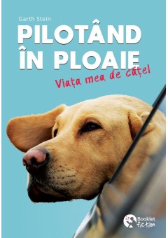 Pilotand in ploaie