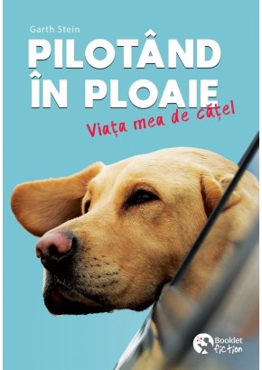 Pilotand in ploaie