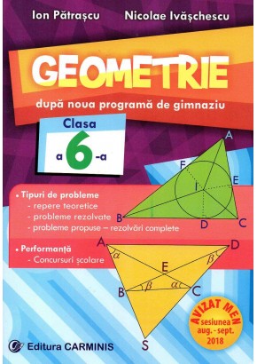 Geometrie. După noua programă de gimnaziu. Clasa a VI-a