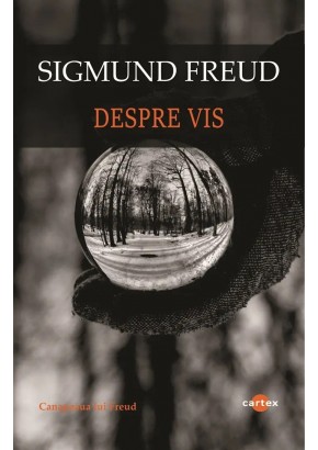 Despre vis