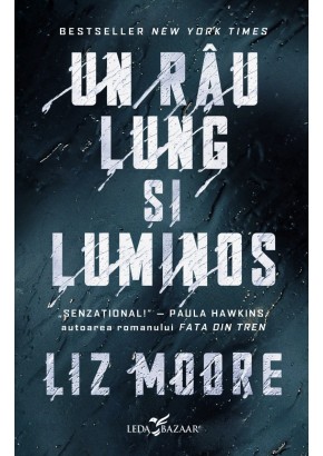 Un rau lung si luminos