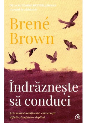Indrazneste sa conduci 