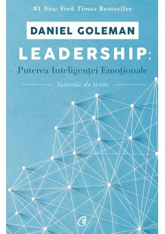 Leadership: Puterea inteligentei emotionale
