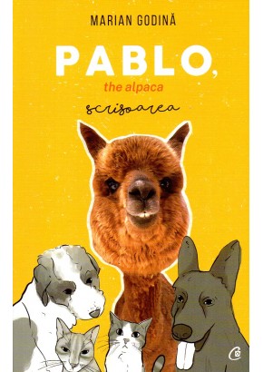 Pablo, the alpaca. Scrisoarea