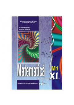 Matematica M1. Manual cl..