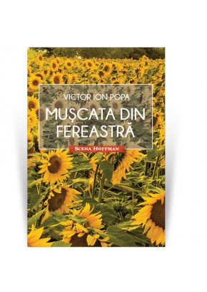 Muscata din fereastra