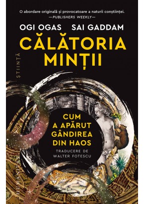 Calatoria mintii