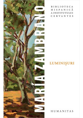 Luminisuri