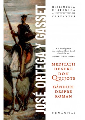 Meditatii despre Don Quijote