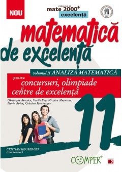 Matematica de excelenta. Pentru concursuri, olimpiade si centrele de excelenta. Clasa a XI-a. volumul II – analiza matematica