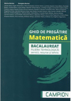 Matematica Bacalaureat, filiera tehnologica: servcii, resurse si tehnic