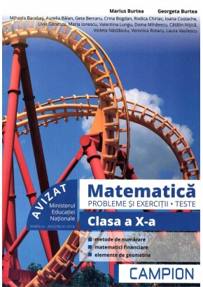 Matematica probleme si exercitii, teste, clasa a X-a semestrul II. Profil tehnic
