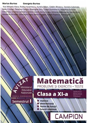 Matematica probleme si exercitii, teste, clasa a XI-a semestrul I. Profil tehnic
