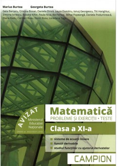 Matematica probleme si exercitii, teste, clasa a XI-a semestrul II. Profil tehnic
