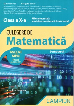 Culegere de matematica clasa X-a. Filiera teoretica, specializarea matematica informatica. Semestrul I
