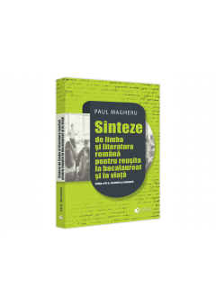 Sinteze de limba si lite..